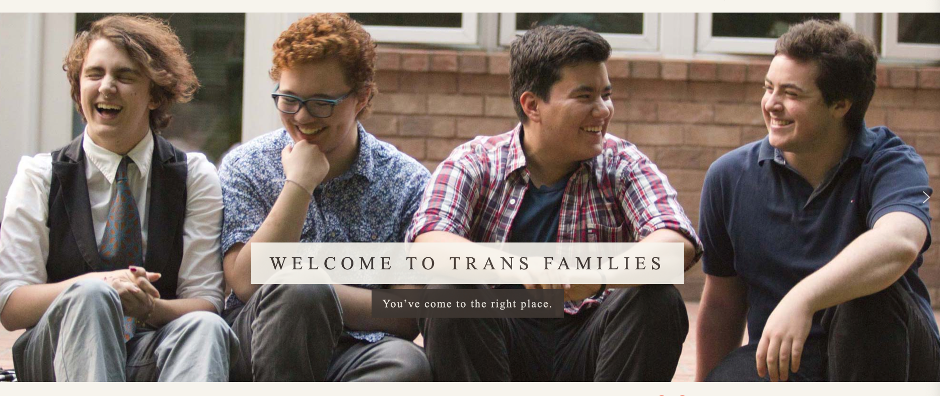You are currently viewing Resources – TF – TransFamilies – Resources for Trans Families – Medical, Legal, School, Peer Support Workers, For Youth and Families
