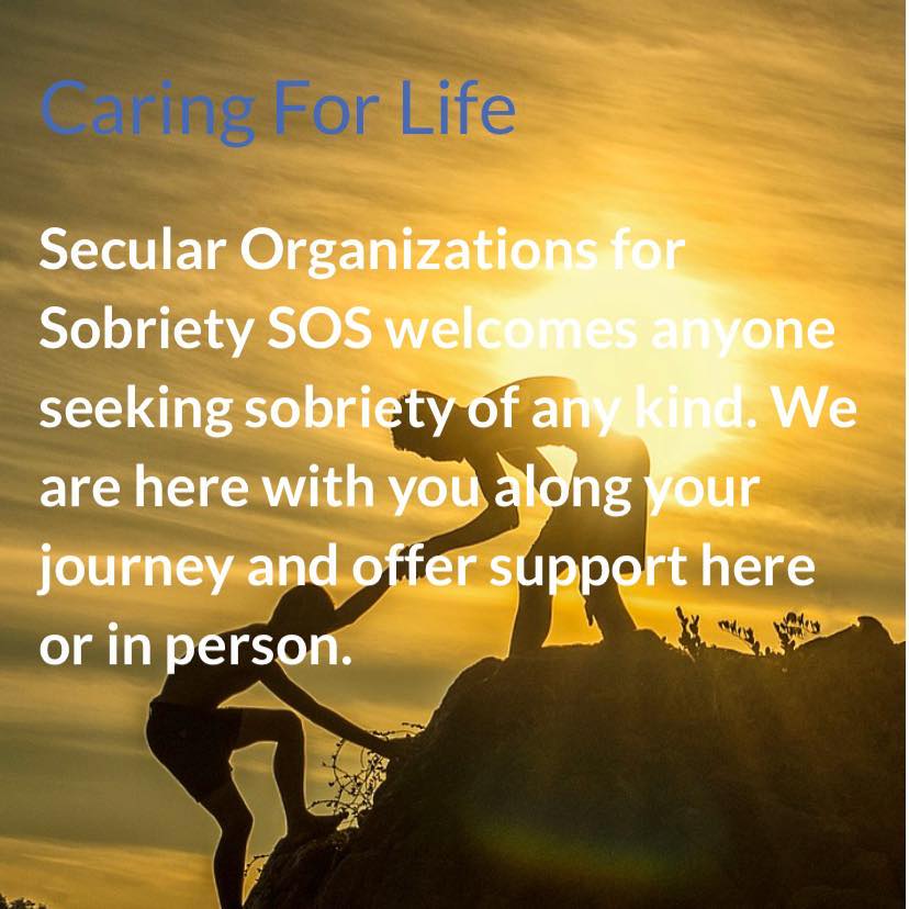 You are currently viewing FW-SOS – First Winnipeg – Secular Organizations for Sobriety – Virtual Peer Support Meetings – Tuesdays, Thursdays, Saturdays And Sundays