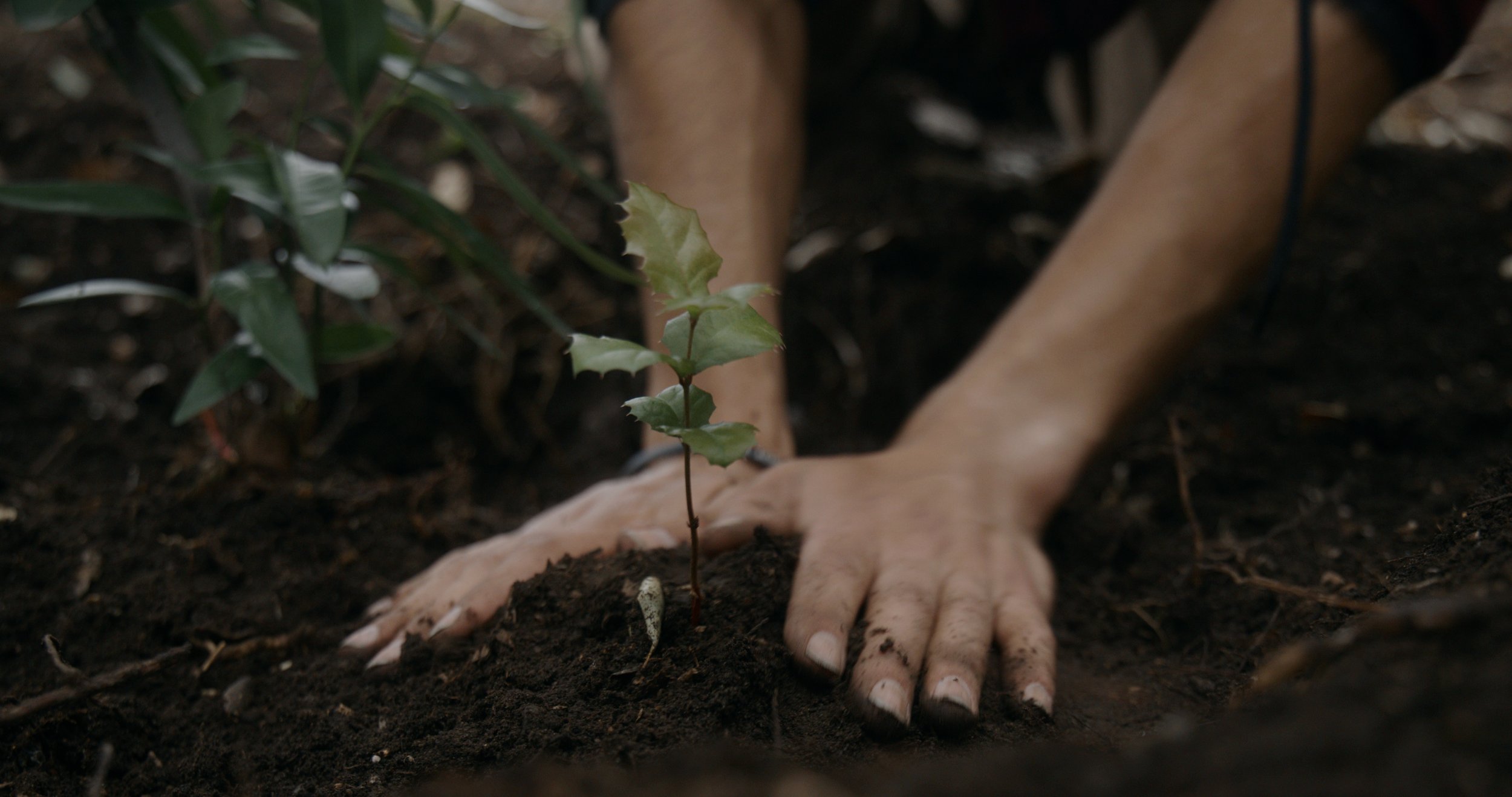 You are currently viewing 04 – Resources Oregon Wildfire Recovery Support – 1-888-669-0554