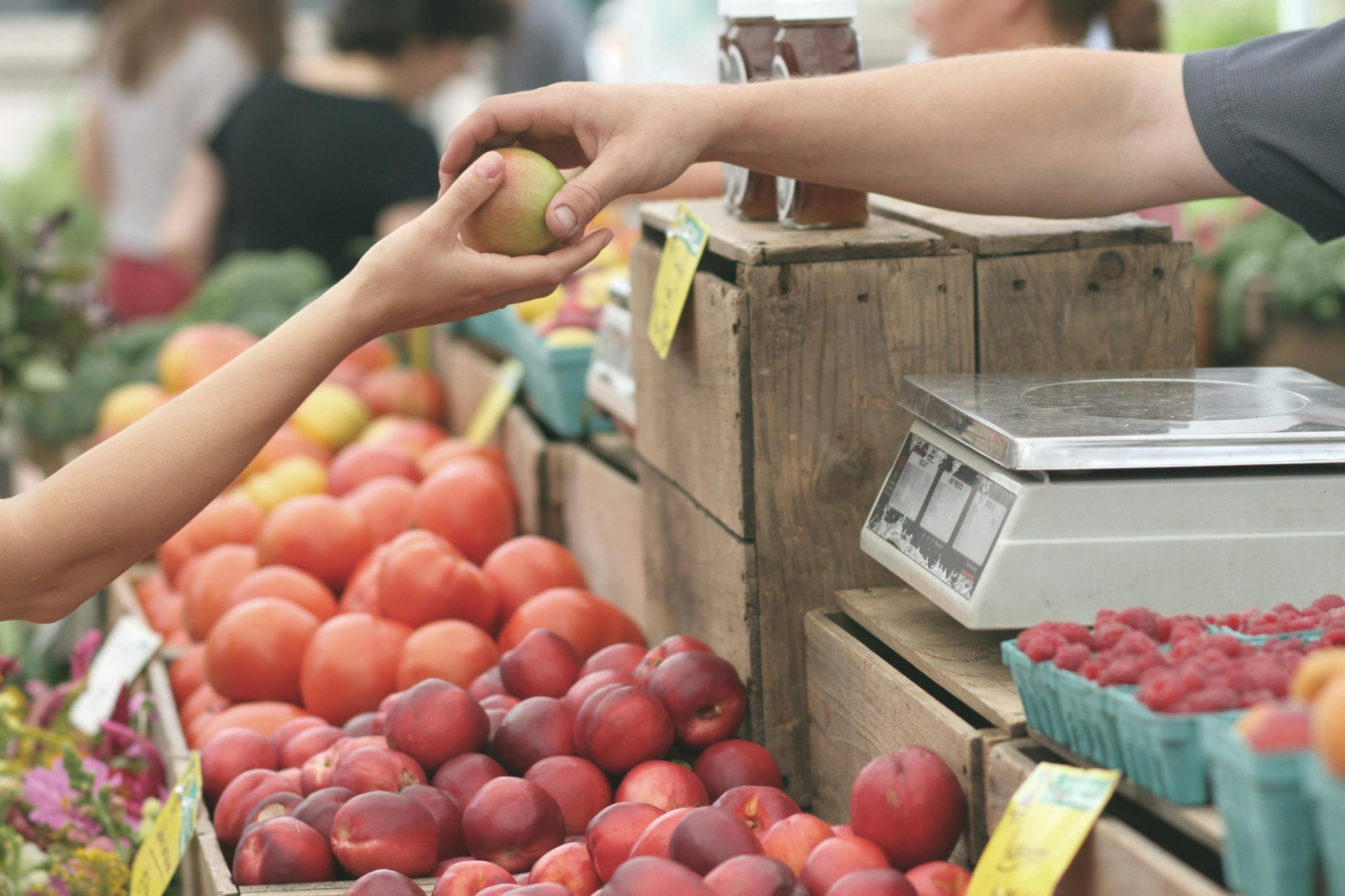 You are currently viewing 04 – Resources – Oregon Food and Food Resources