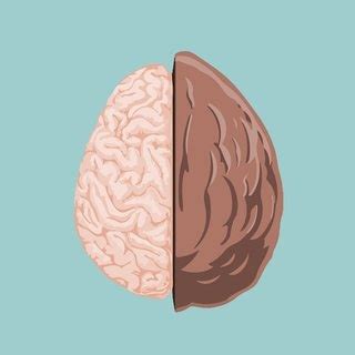 You are currently viewing TINS – Therapy in a Nutshell with Emma McAdam – YouTube Channel and Resources
