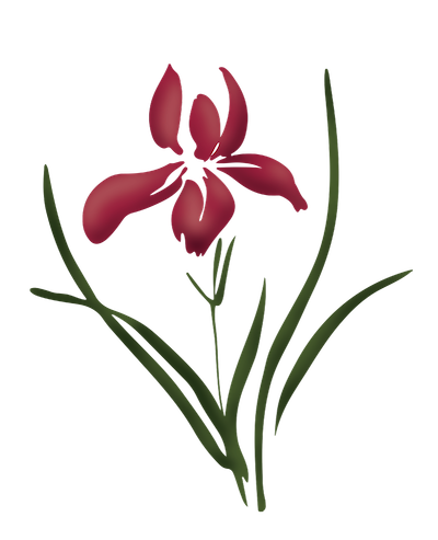 You are currently viewing TSW –  The Sisterhood of Widows – Private Facebook Group For Widow 24/7